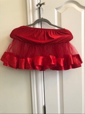 Adult costume Tutu